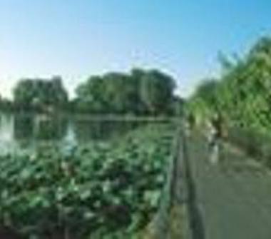 Terreno Edificabile Residenziale in vendita a Mantova (Mantova)