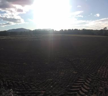 Casa indipendente in vendita a Alghero, Frazione Santa Maria La Palma