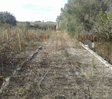 Rustico/Casale in vendita a Mesagne (Brindisi)