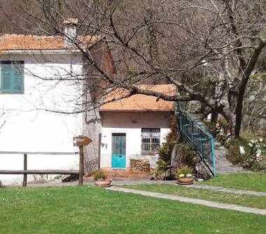  Attività commerciale in vendita a Ne, Frazione Statale