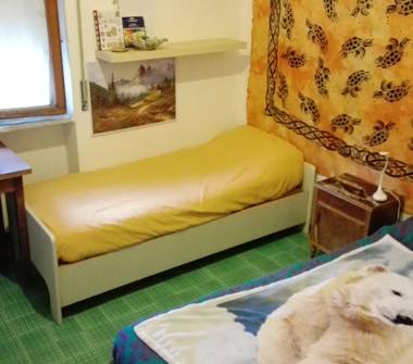 Affitto Stanza Singola a Pisa, Zona Barbaricina