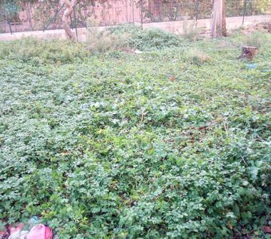 Casa indipendente in vendita a Fabriano, Frazione Marischio