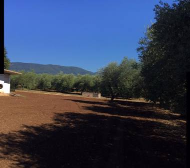Terreno Agricolo/Coltura in vendita a Velletri (Roma)