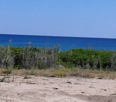 Affitto Appartamento Vacanze a Manduria (Taranto)