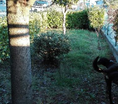 Villetta a schiera in vendita a Urbino, Frazione Trasanni