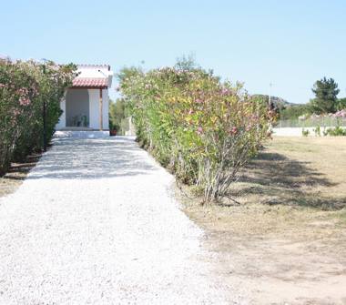 Affitto Casa Vacanze a Orosei, Frazione Sos Alinos, Viale Cala Ginepro 39a