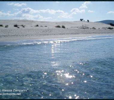 Affitto Casa Vacanze a Masainas (Sud Sardegna), Vico Grazia Deledda 1