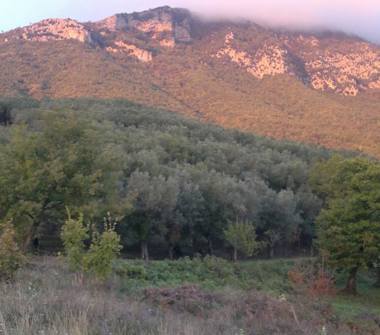 Terreno Agricolo/Coltura in vendita a Fisciano, Frazione Settefichi
