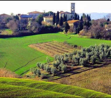 Altro in vendita a Orciano Pisano (Pisa)