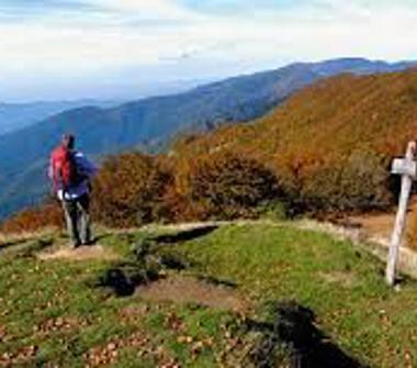 Villa in vendita a Pratovecchio Stia (Arezzo)