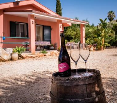 Villa in affitto a Castellammare del Golfo, Frazione Scopello