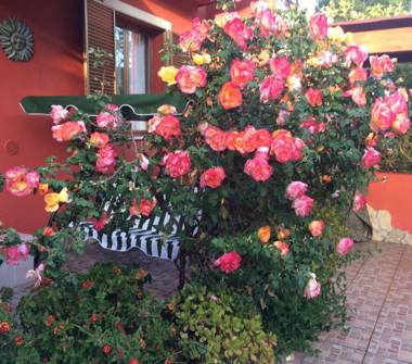 Affitto Casa Vacanze a Villasimius (Sud Sardegna)