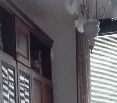 Altro in vendita a Anzio, Frazione Lavinio-Lido di Enea