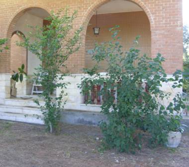 Affitto Villa Vacanze a Pisticci, Frazione Marconia