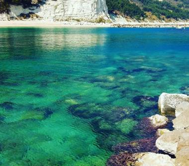 Affitto Appartamento Vacanze a Numana, Frazione Marcelli