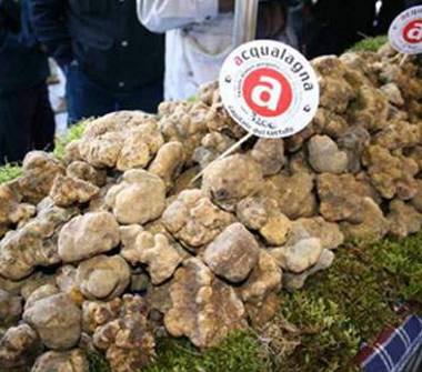 Palazzo/Stabile in vendita a Acqualagna (Pesaro e Urbino)