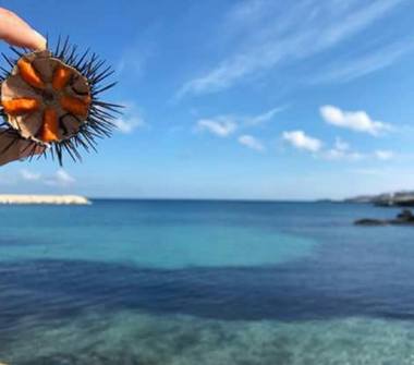 Affitto Villetta a schiera Vacanze a Melendugno, Frazione San Foca