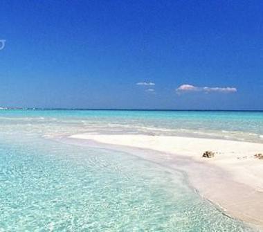 Quadrilocale in affitto a Gallipoli (Lecce)