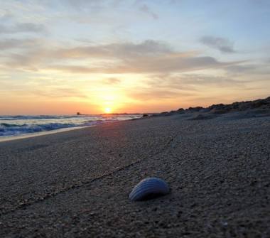 Affitto Casa Vacanze a Nardò, Frazione Villaggio Boncore