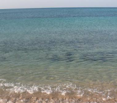 Affitto Villa Vacanze a Manduria, Frazione San Pietro