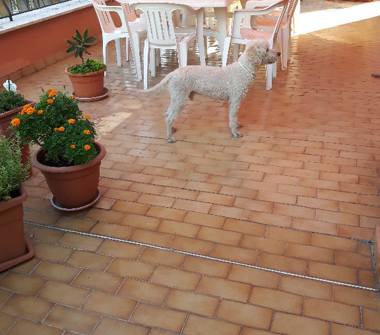 Trilocale in vendita a Terni (Terni)