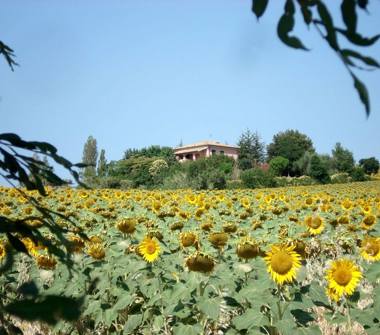 Villa in vendita a Terre Roveresche (Pesaro e Urbino)