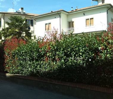 Altro in vendita a Sansepolcro (Arezzo)