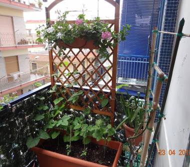 Appartamento in vendita a Casoria (Napoli)