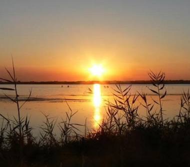 Affitto Appartamento Vacanze a Carpino (Foggia)