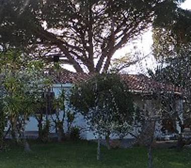 Villa in vendita a Arzachena (Sassari)