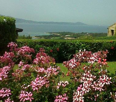 Affitto Villetta a schiera Vacanze a Olbia, Frazione Porto Rotondo