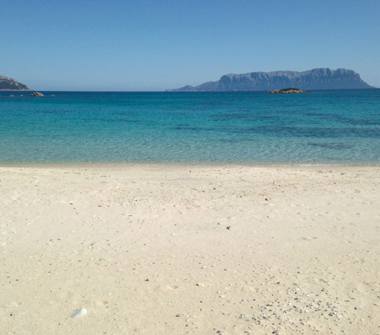 Affitto Appartamento Vacanze a Olbia, Frazione Pittulongu