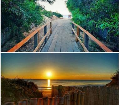 Affitto Villa Vacanze a Ispica, Frazione Santa Maria Del Focallo