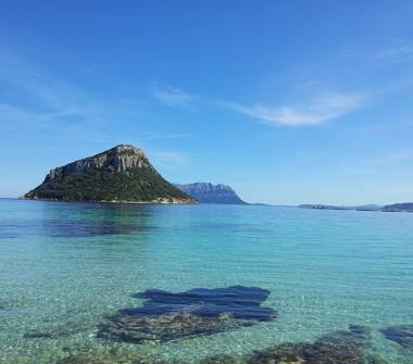 Affitto Appartamento Vacanze a Golfo Aranci (Sassari)