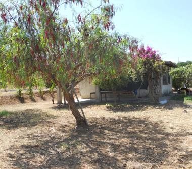 Affitto Villa Vacanze a Campofelice di Roccella (Palermo)