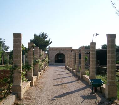 Affitto Appartamento Vacanze a Tricase (Lecce)