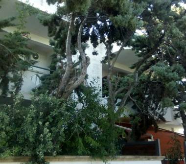 Affitto Casa Vacanze a Porto Cesareo, Frazione Torre Lapillo