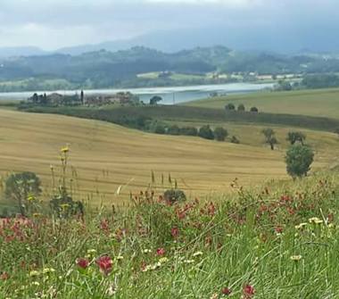 Affitto Appartamento Vacanze a Castiglione del Lago, Frazione Gioiella