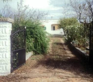 Affitto Villa Vacanze a Ostuni (Brindisi)