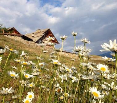 Appartamento in vendita a Bardonecchia (Torino)