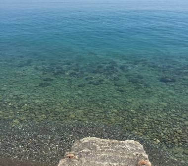 Offerta Vacanze Bed & Breakfast a Amendolara (Cosenza)