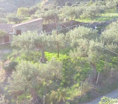 Terreno Agricolo/Coltura in vendita a Messina, Frazione Galati Inferiore, Località Galati Sant'Anna 86