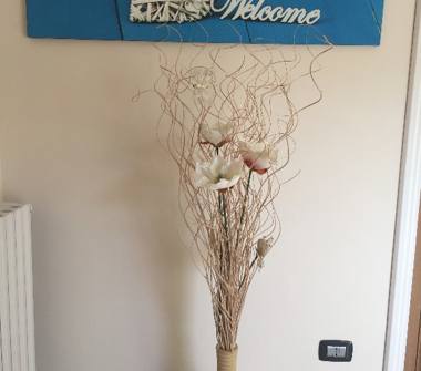 Affitto Casa Vacanze a Scafati (Salerno)