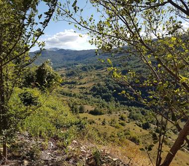 Casa indipendente in vendita a Bisegna (L'Aquila)