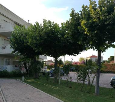 Affitto Appartamento Vacanze a Pineto (Teramo)