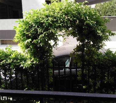 Affitto Casa Vacanze a Noto (Siracusa)