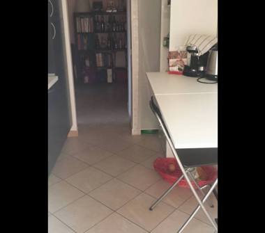 Bilocale in affitto a Roma, Zona Bologna