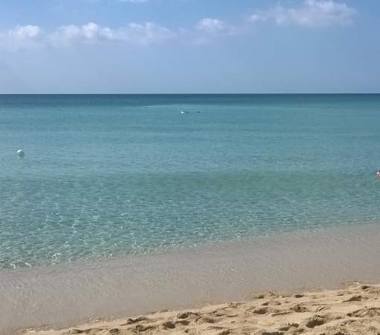 Affitto Appartamento Vacanze a Porto Cesareo, Frazione Torre Lapillo