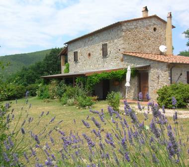 Affitto Appartamento Vacanze a Castellina Marittima (Pisa), Via Debbione 23 13