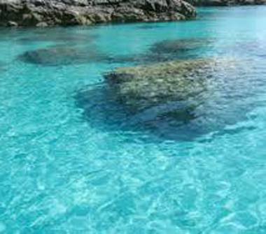 Affitto Appartamento Vacanze a Tropea (Vibo Valentia)